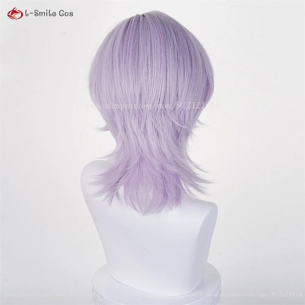 Anime Cosplay Wig Image 38