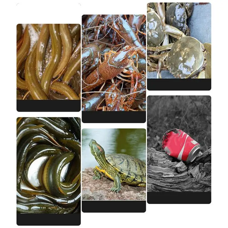 Slide image bf980f78cf0845d5811e7834c2f86717