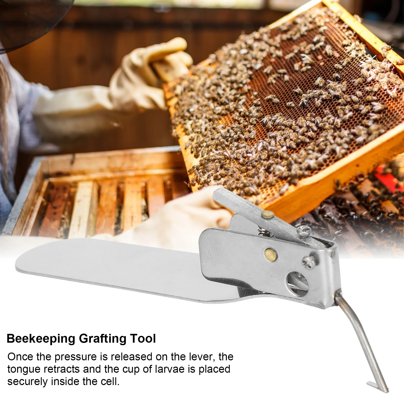 Beekeeping Grafting Tool Beekeeping Tool Grafting Single‑End Queen Bee Larva Needle Transferring