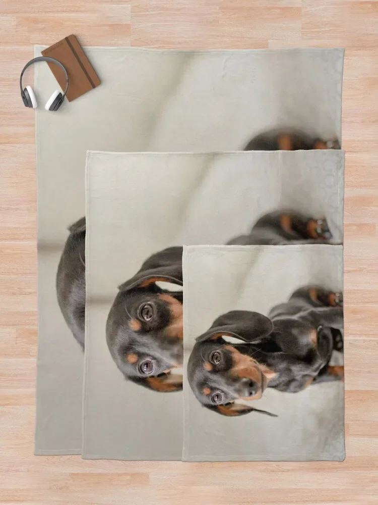 ���� �ڽ���Ʈ ������ ���, ���Ÿ� ����, ũ�������� ���� ���