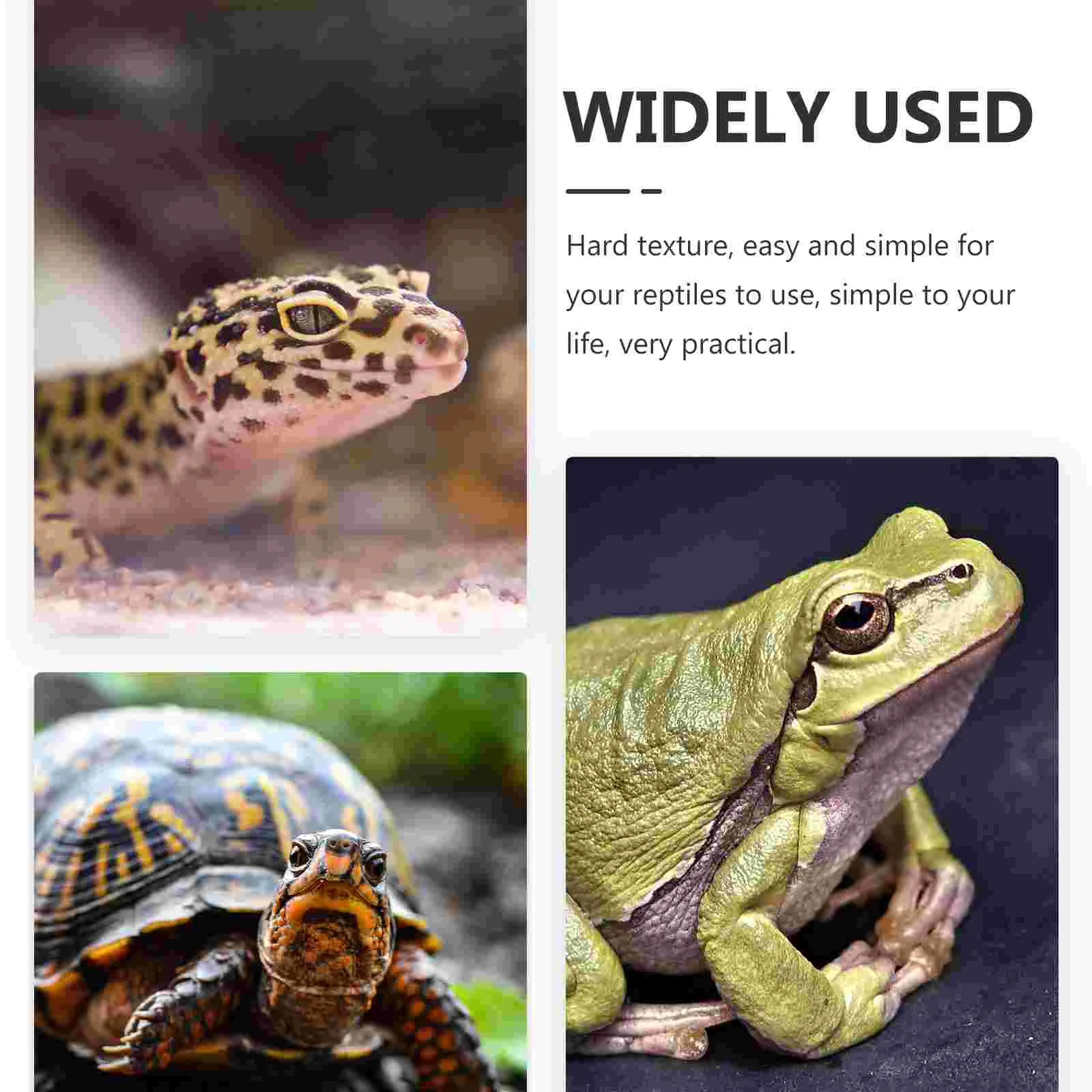 Platform Turtle Tortoise Basking Reptile Climbing Habitat Floating Accessories Resting Cave Resin Climb Ramp Dock Aquarium Fish aquarium accessories