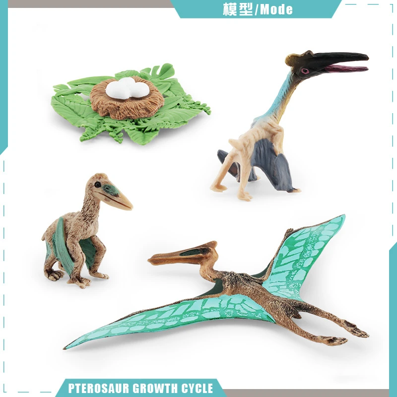 

Simulation Wild Animals Dinosaurs Growth Cycle Pterosaur Tyrannosaurus Indominus Rex Model Educational Toy Gift Wholesale