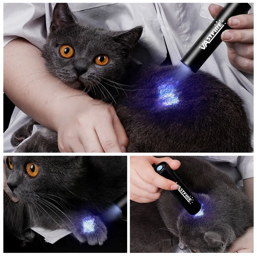 USB wiederauf ladbare 365nm UV-Taschenlampe UV-Lampe Taschenlampe  Schwarzlicht Haustier Moos Detektor für Katze Hund Flecken Bett wanze  Schimmel futter - AliExpress