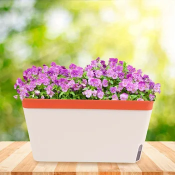 Self-Watering Windowsill Herb Planter Kit 2