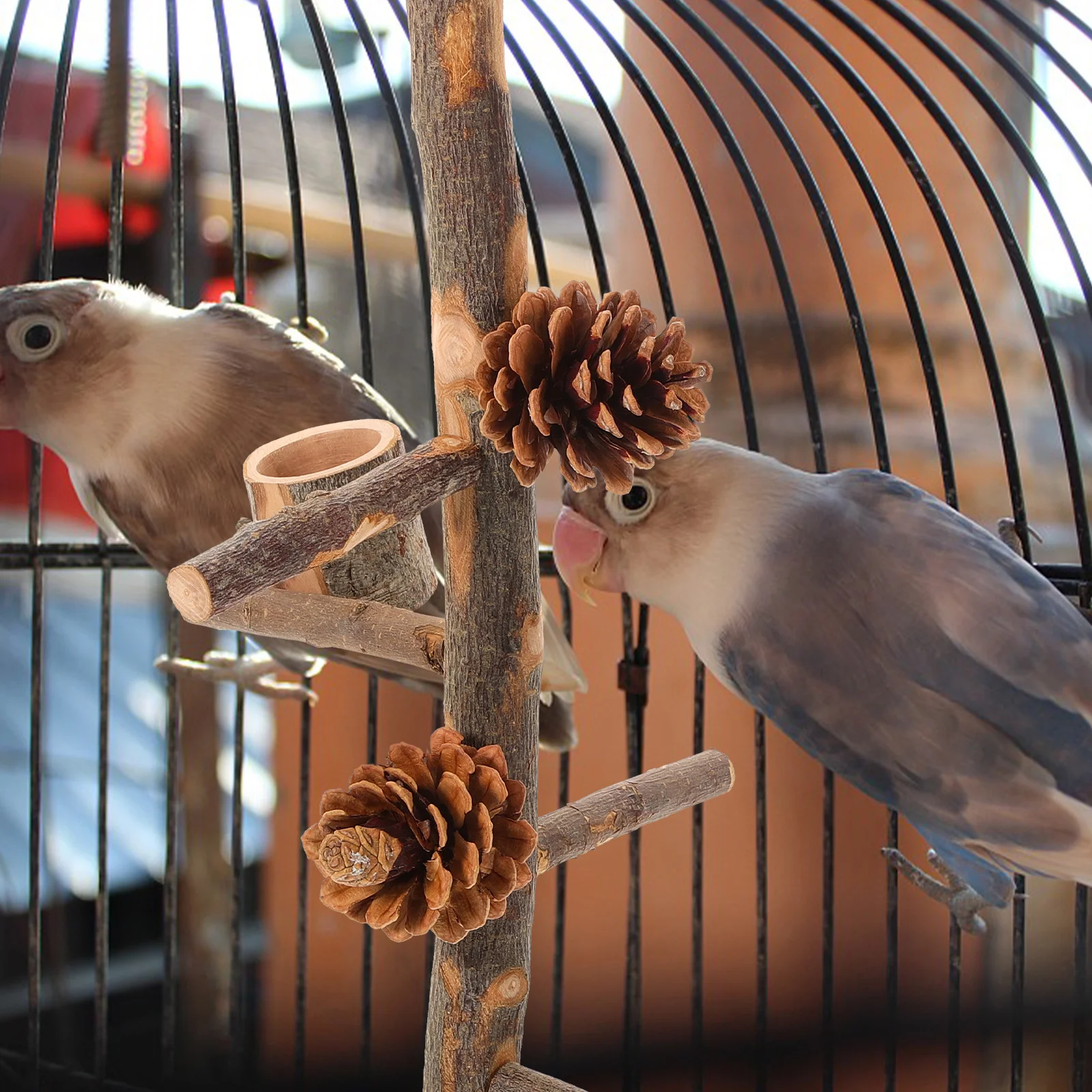 

Bird Perch Platform Stand Parrot Bird Training Platform Feeder for Parrot Cage