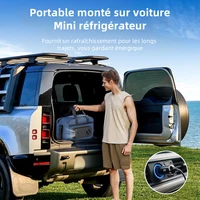 Réfrigérateur Portable pour voiture, 25l, semi-conducteur, pliable, chauffage, refroidissement, sac isolant, voiture, usage domestique, pique-nique, Camping essentiel 4