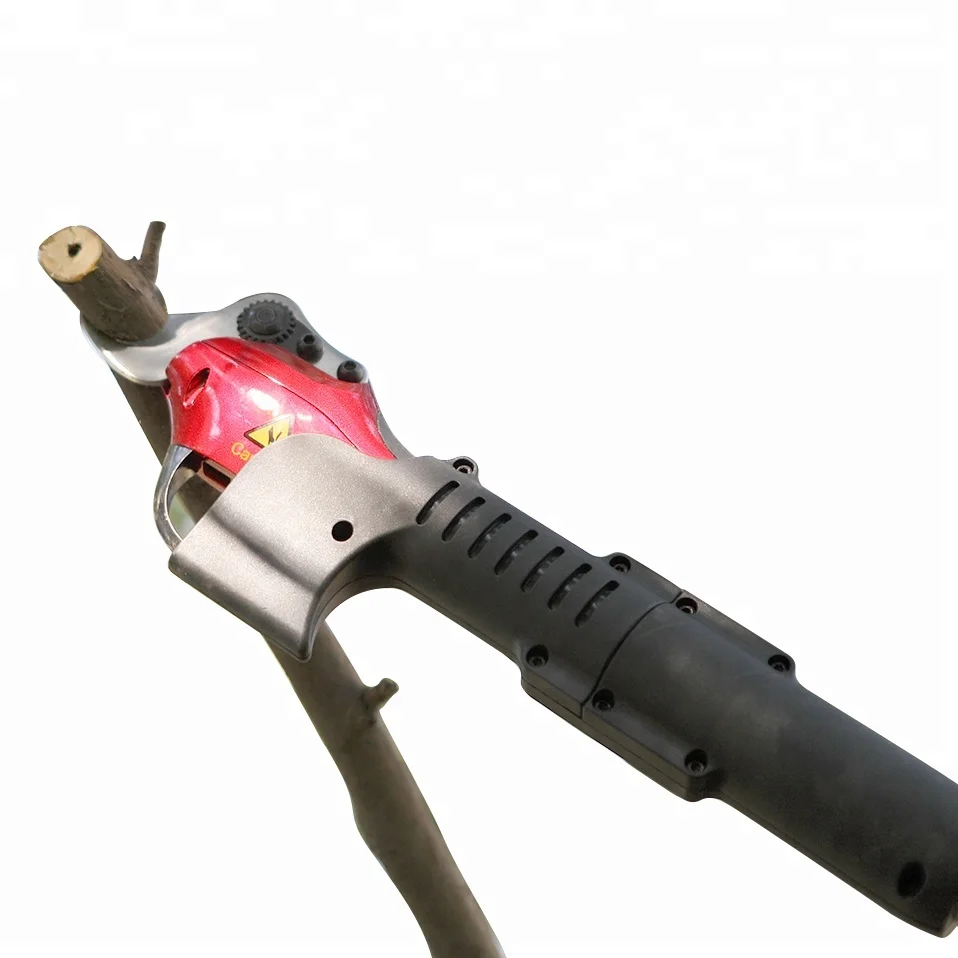 Electric Pruner with telescopic pole for cutting branch (CE Certificate)