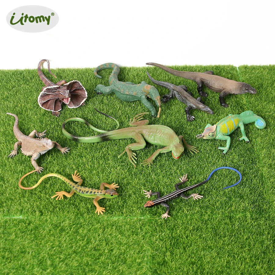 Realistic Hand Painted amphibious animals Model Komodo Dragon Bearded Dragon chameleon lizard Educational Figurine for Kids