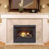 Dual Fuel Ventless Gas Fireplace Insert, Remote Control, 5 Fire Logs, Use with Natural Gas or Liquid Propane, 26000 BTU. 5