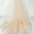 Light Champagne