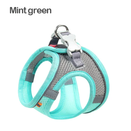 Green Harness