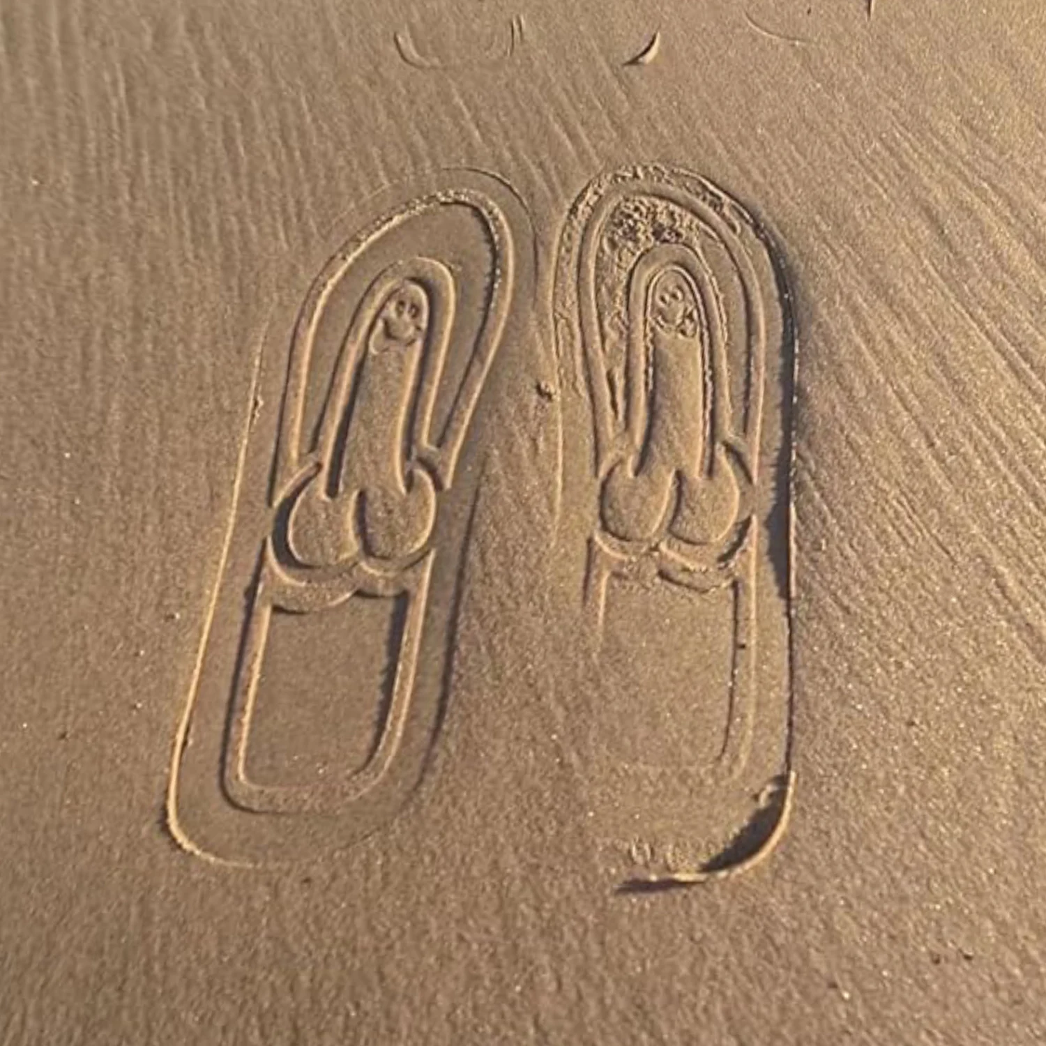 Flip flops Hidden Penis Flops Funny Hidden Penis Flip Flops Parody Summer Beach Comfort Non Slip Quick-Dry Men's Slippers