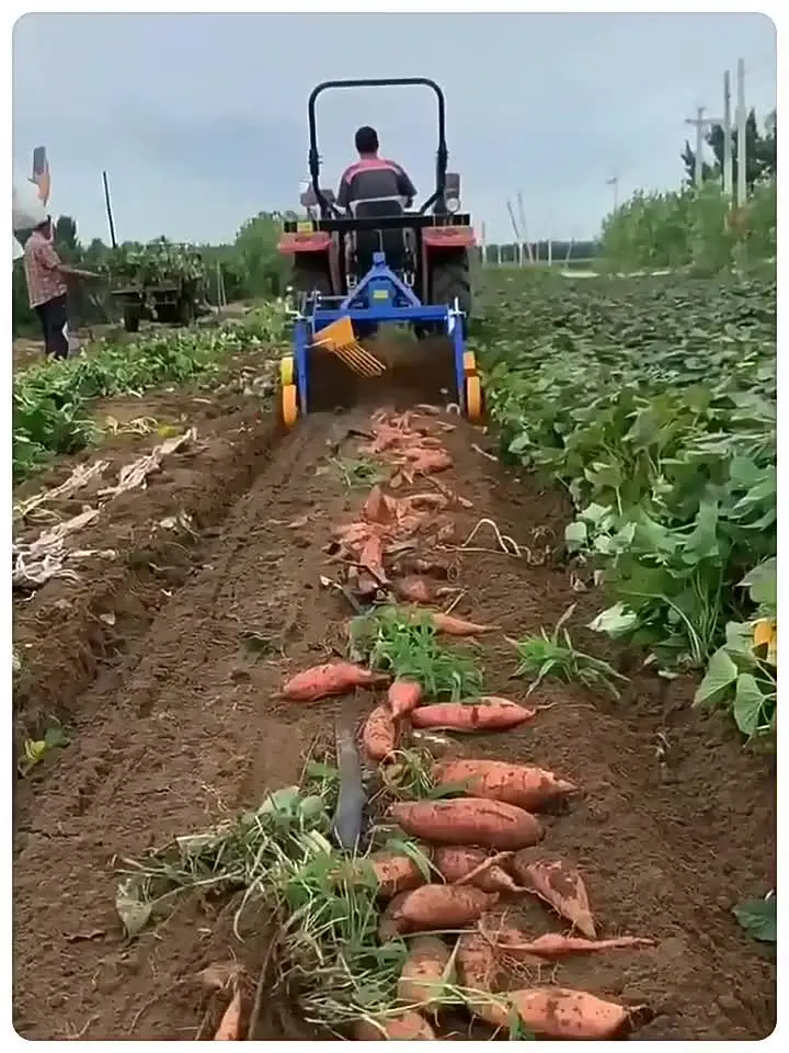 Однорядное оборудование для комбайна картофеля на тракторе/маленький