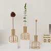 Nordic Iron Golden Hydroponic Vase Decoration Living Room Table Top Decoration Dried Flower Green Dill Plant Container Vase 3
