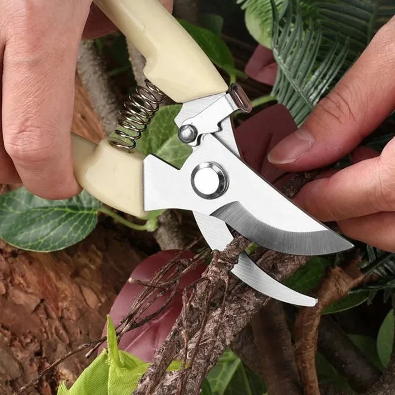 Pruning Shears for Garden - Image 4