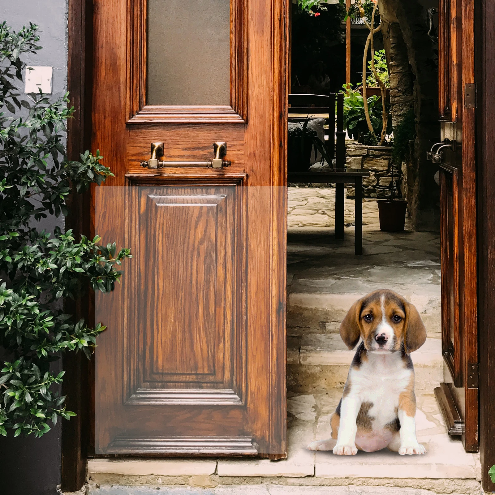 Dog Door Scratch Protector 5