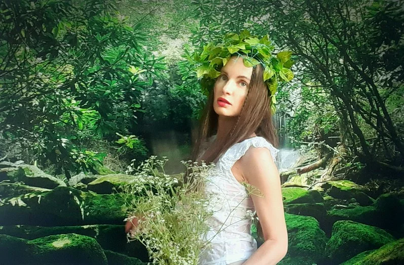 Tropical Jungle Green Forest Backdrop Photography Rainforest Natural Landscape Adventure Photo Studio Background Custom photo backdrop
