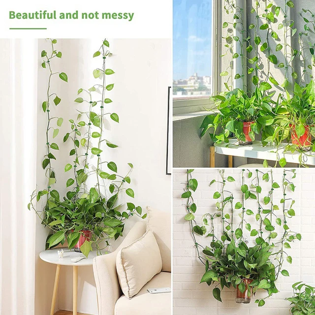 10-40Pcs Láthatatlan Növényi Hegymászó Fal Rögzítő Rattan Szőlő Tartó Rögzített Csatlevelek Klipek Vontató Kerti Tapadás Formázás - Image 5