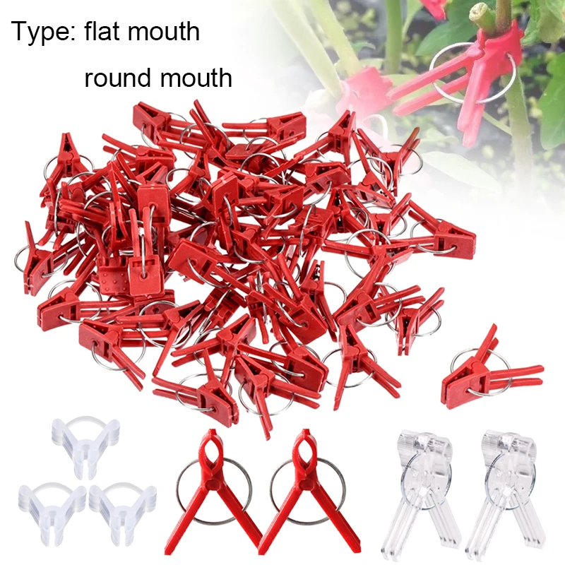 d5 50 100pcs plastic plant clip support connect reusable protection grafting fixing tool gardening supplies for vegetable tomato 25-100PCS Plant Grafting Clip Plastic Gardening Tool For Cucumber Eggplant Watermelon, Round Mouth Flat Mouth Anti-fall Clamp