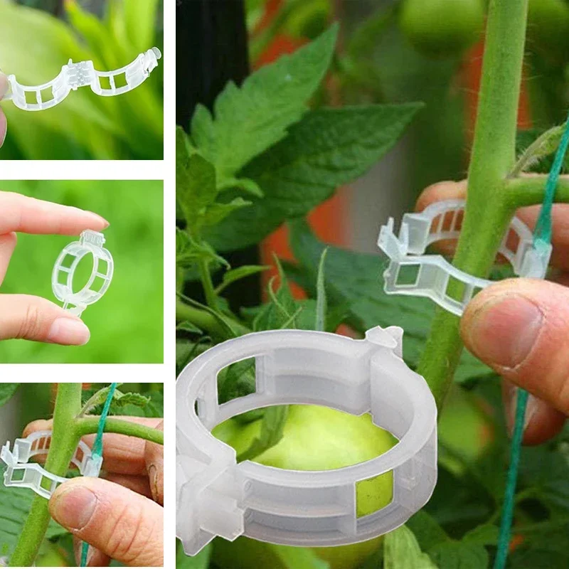 

50/100/200PCS Plastic Plant Clips Support For Tomato Hanging Trellis Vine Connects Plants Greenhouse Vegetables Garden Supplies