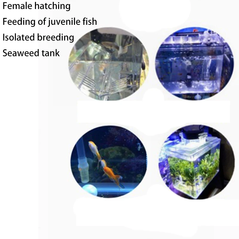 Clear Fish Tank Breeding Hatchery House Incubator Aquarium Transparent Breeder Isolation Hanging Box Reptile Turtle