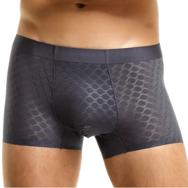 Nylon Spandex Mens Underwear Briefs Seamless Ultra-thin Ice Silk Cueca Low  Rise Male Panties Plus Size Cuecas Masculinas - Briefs - AliExpress