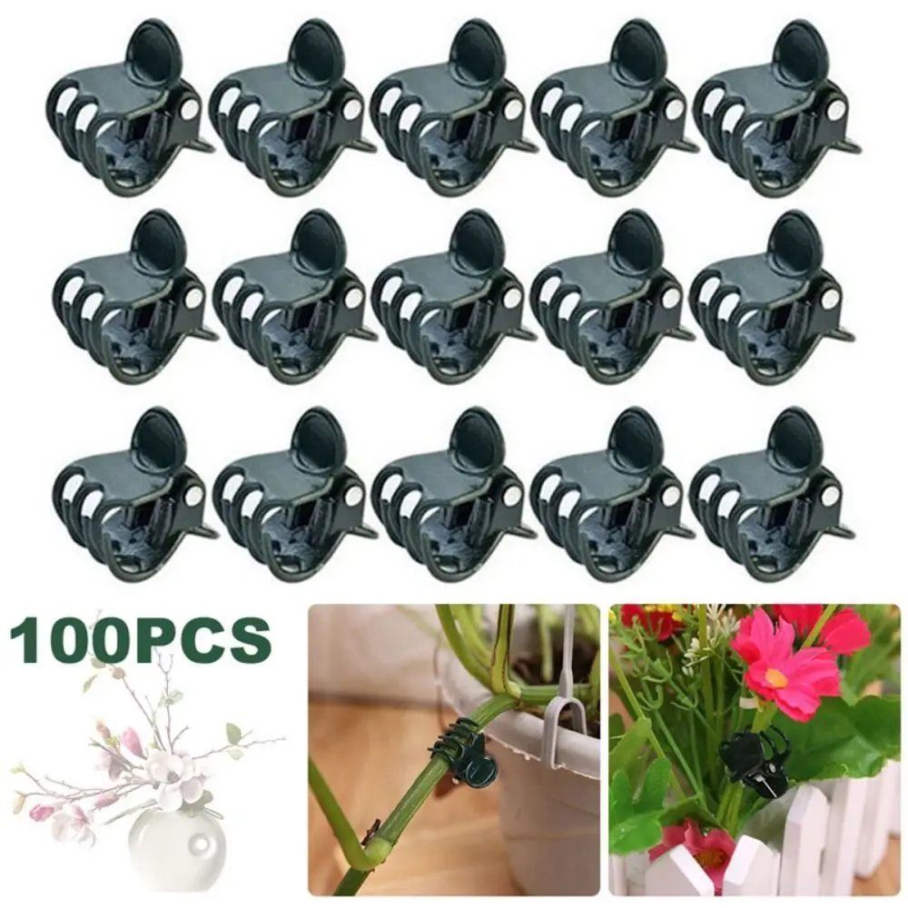 Vine Grafting Plant Clips 6-Claw Orchid Clips for Orchid Flower Support plastic plant clips plant clips