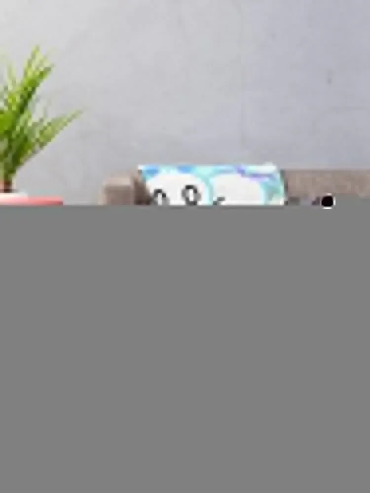 Hero Chao (Stage 1) ������ ���, �Ϳ��� ���� ���� ���� ������ ���� ���