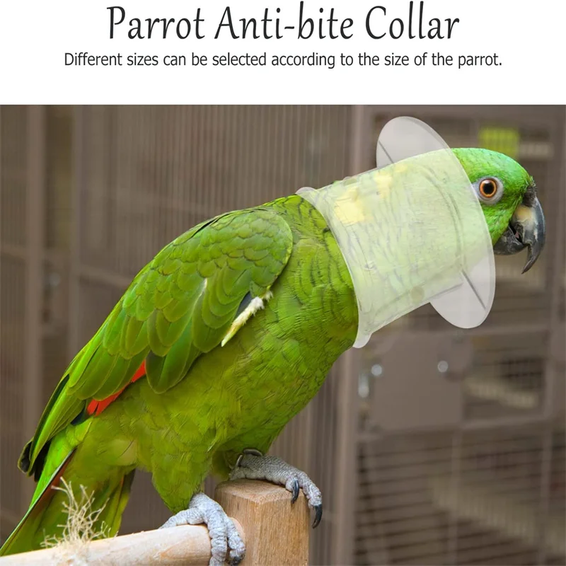 Bird Protective Bead Parrot Collar Anti Feather Picking Ring Anti-Plucking Anti-Grab Collars Pet Supplies for Rodents & Birds
