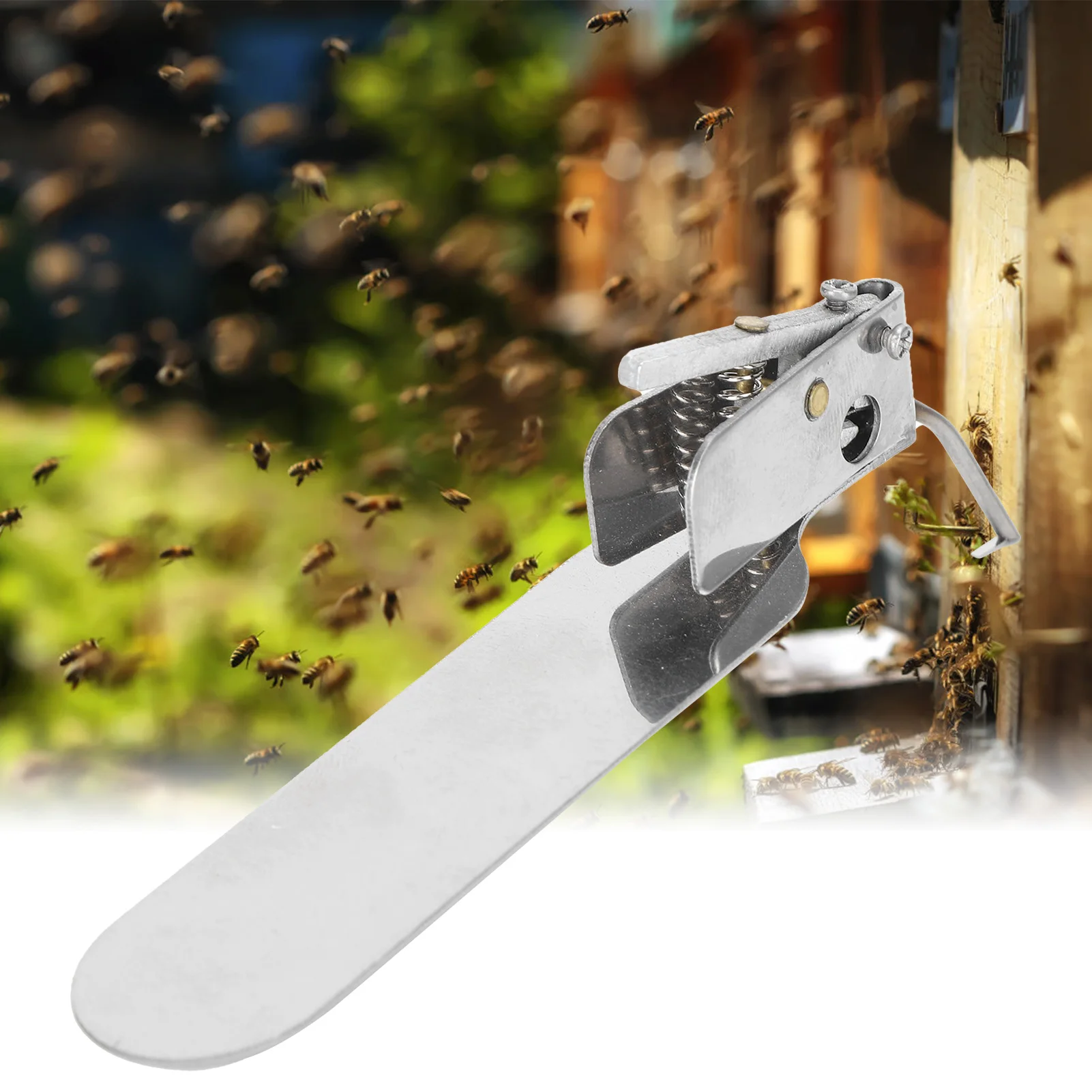 Beekeeping Grafting Tool Beekeeping Tool Grafting Single‑End Queen Bee Larva Needle Transferring