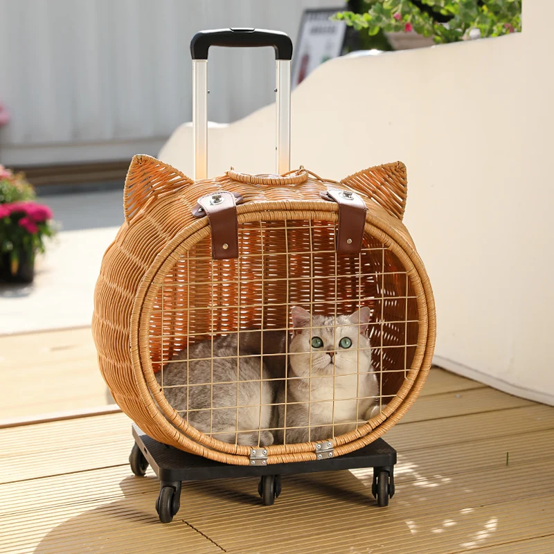 

Novelty Cute Cat Bag Backpack Transport Carrier Cage Clear Cat Bag Littlest Box Travel Mochila Transporte Gato Pet Products