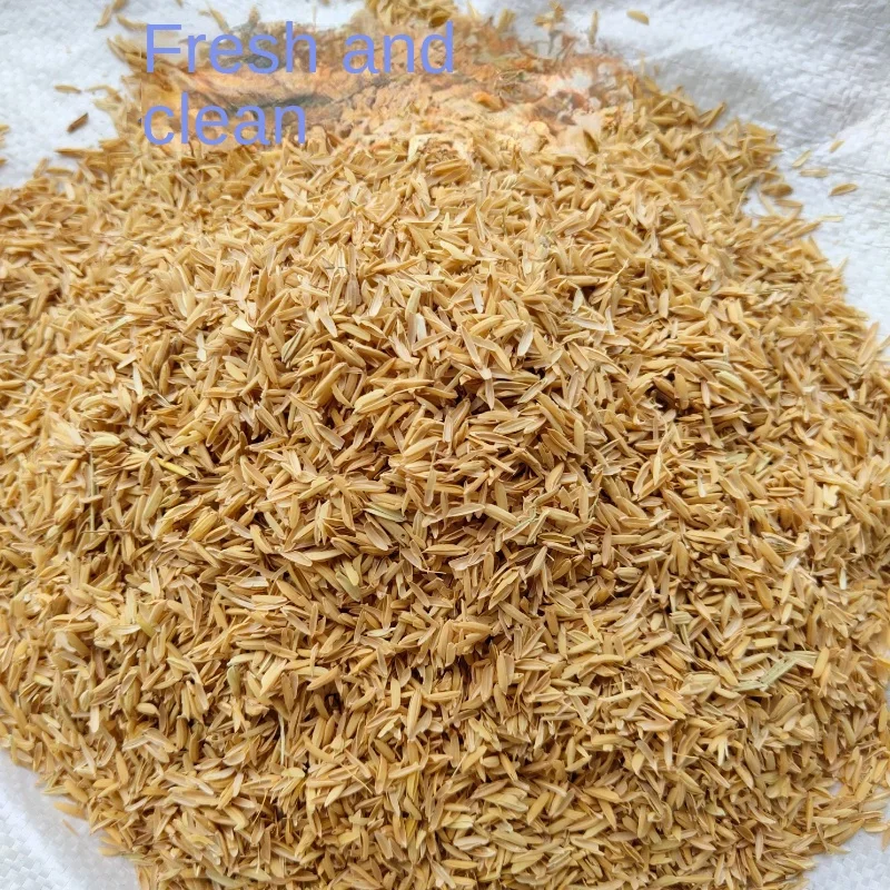 Organic Fertilizer 50g 100g 200g 25g Pure Natural Rice Husk Farmhouse Rice Husk Coarse Bran Pillow Fluffy Shell Chicken Fertilizante Para Plantas