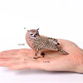 Owl -6