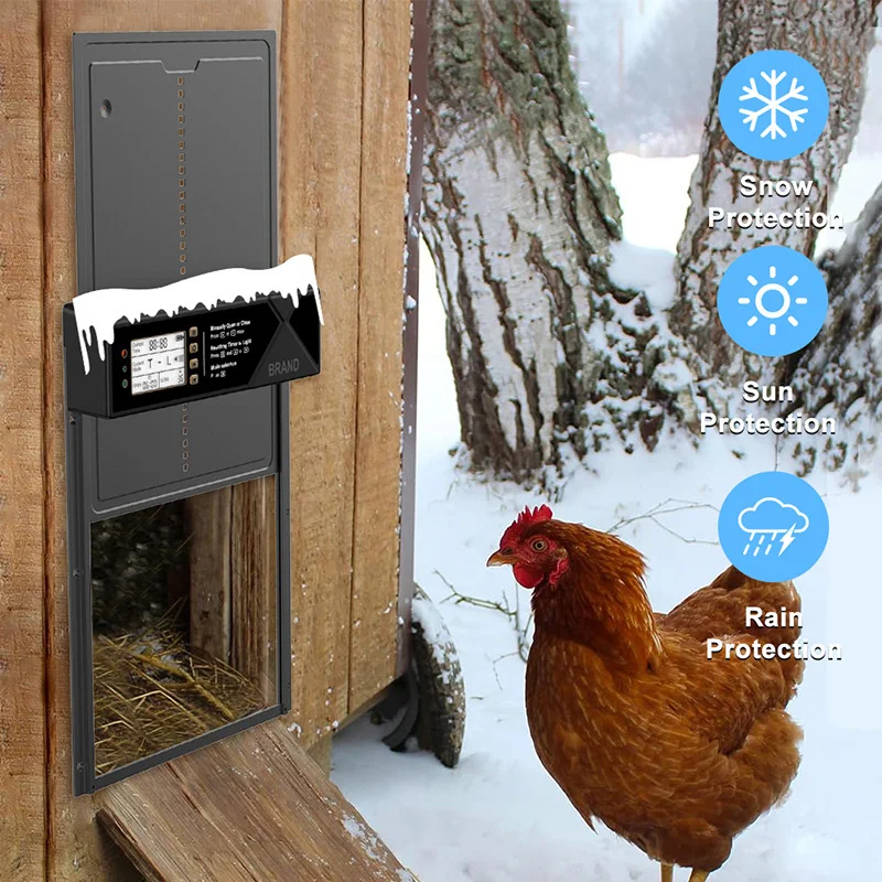 ประตูเล้าไก่อัตโนมัติ พร้อมตัวตั้งเวลา ไฟส่องสว่าง ระบบควบคุมระยะไกล ยกขึ้นลงได้ ป้องกันกลิ่นเหม็น ป้องกันศัตรูพืชธรรมชาติ สำหรับการเลี้ยงสัตว์ปีก 1