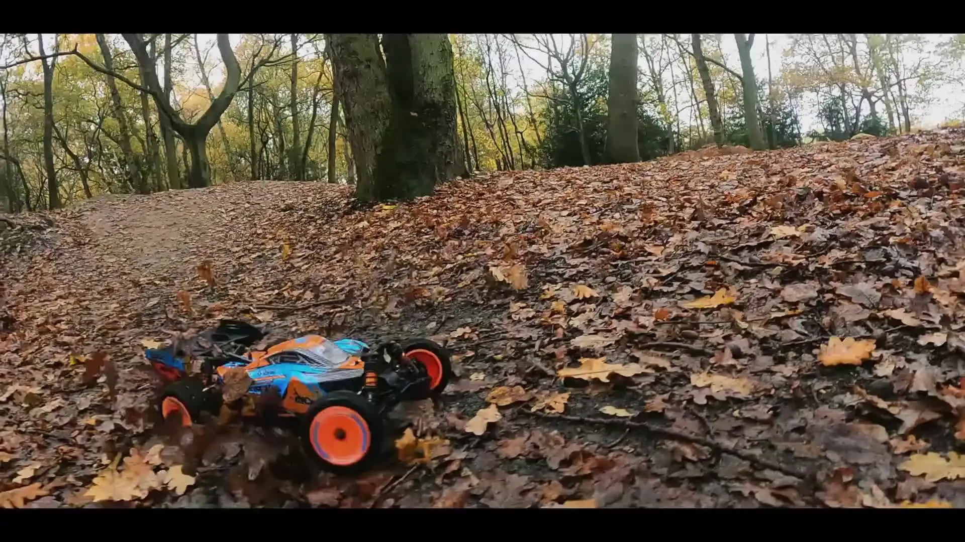 Rlaarlo RC Car AM-X12 RTR 1/12 4WD 2.4GHz 4Ch Brushless RC