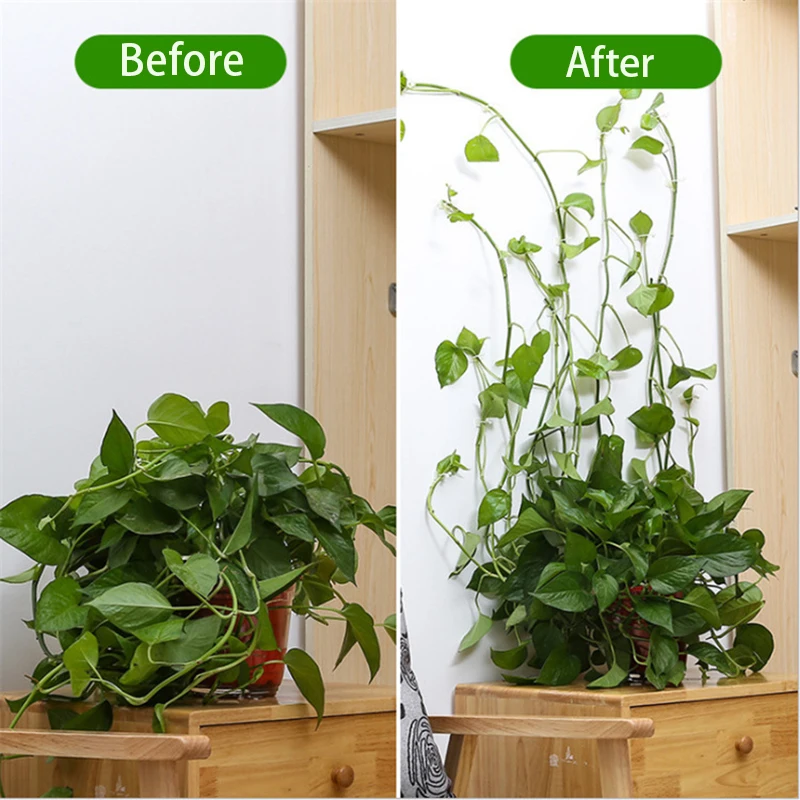 Plant Climbing Wall Clips plant clips