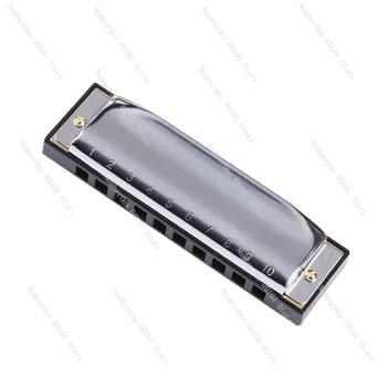 하모니카 학생 초보자, 10 홀