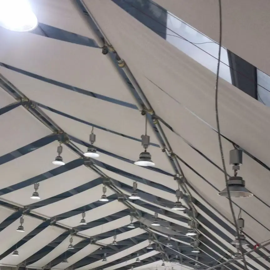 110V/220V Lights Lifter 20M Remote Control ,15M Lifting height ,Load weight 10kg, Commercial Lighting Electric Lifting System