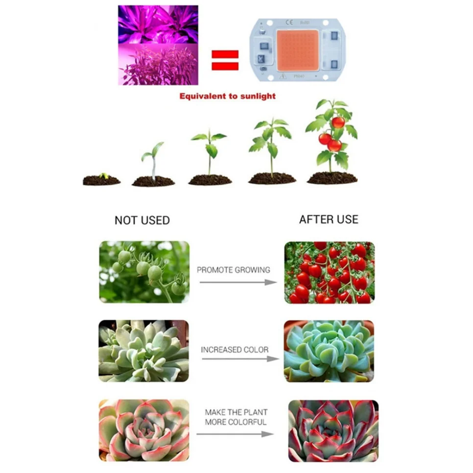 LED Lamp COB Chip Phyto Full Spectrum 110V/220V 20W 30W 50W Smart IC For Indoor Plant Seedling Grow Lighting Outdoor Chip