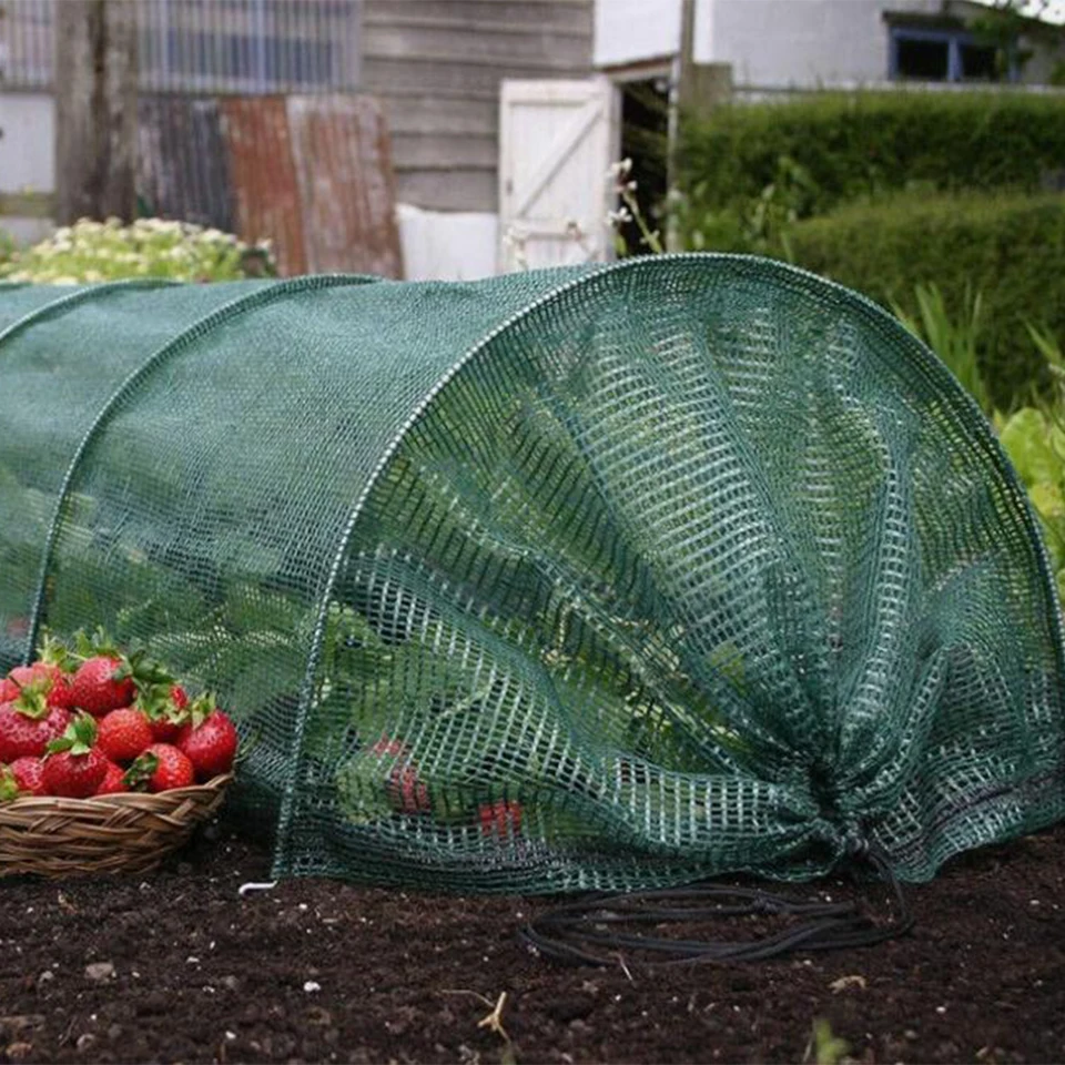 Tunnel De Culture En Maille 3 M – Protection Contre Gel Et Insectes, Pour Plantes Extérieur - 9