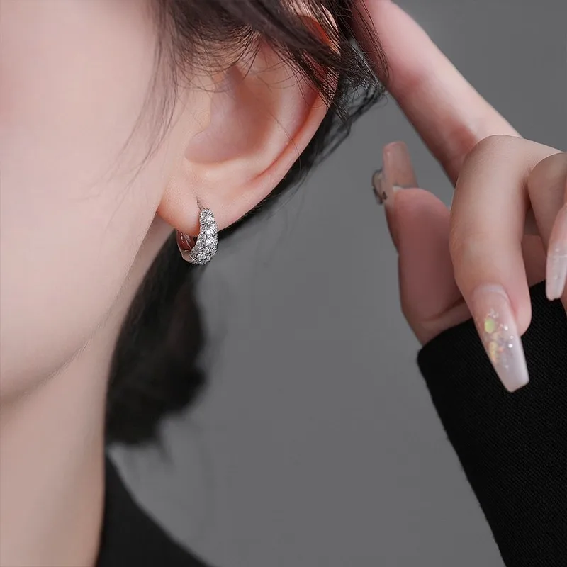 925 Silver Exquisite Zircon Earrings 2026 New Style Fashionable Elegant High End Design Luxurious Earrings for Women - 5