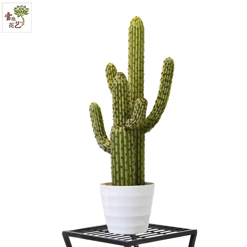 Simulation créative d'amour Cactus, 4 pièces, décoration de voiture en  résine, plante en pot, bonsaï - AliExpress