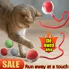 Cat Interactive Ball Toy Automatic Rolling Ball Faux Tail Rechargeable Pet Electric Toy Dog Cat Training Imitate Mouse Plush 1