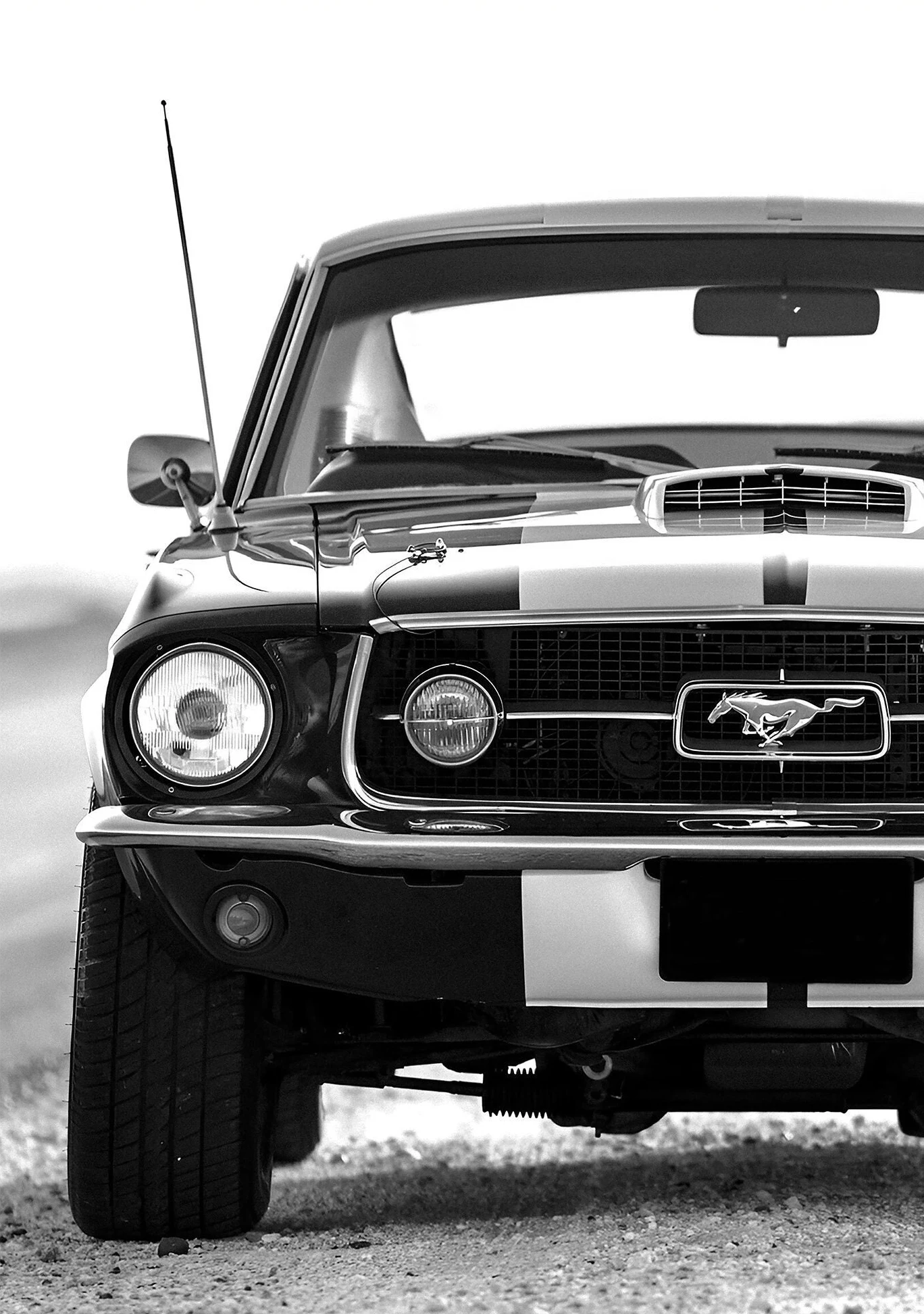 Chic Black and White Luxury Car Canvas Art