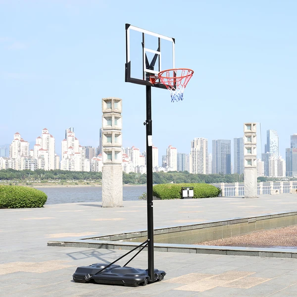 PC透明板 篮框可调节245-305cm 篮球架 成人款 最大适用7#球 N002 LX-B076-41