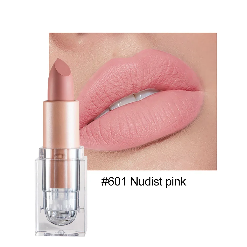 thumbnail image 1 of 12Color Transparent Tube Rotatable Matte Lipstick Velvet Lips Makeup Cosmetics Longlasting Waterproof Popular Women's Gifts Nude, 1 of 5