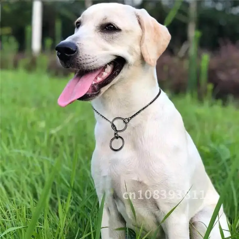 

Leather Pet Dog Collar Leash for Small Medium Large Dogs Cats Outdoor Walking Pet Supplies Necklace Accessory