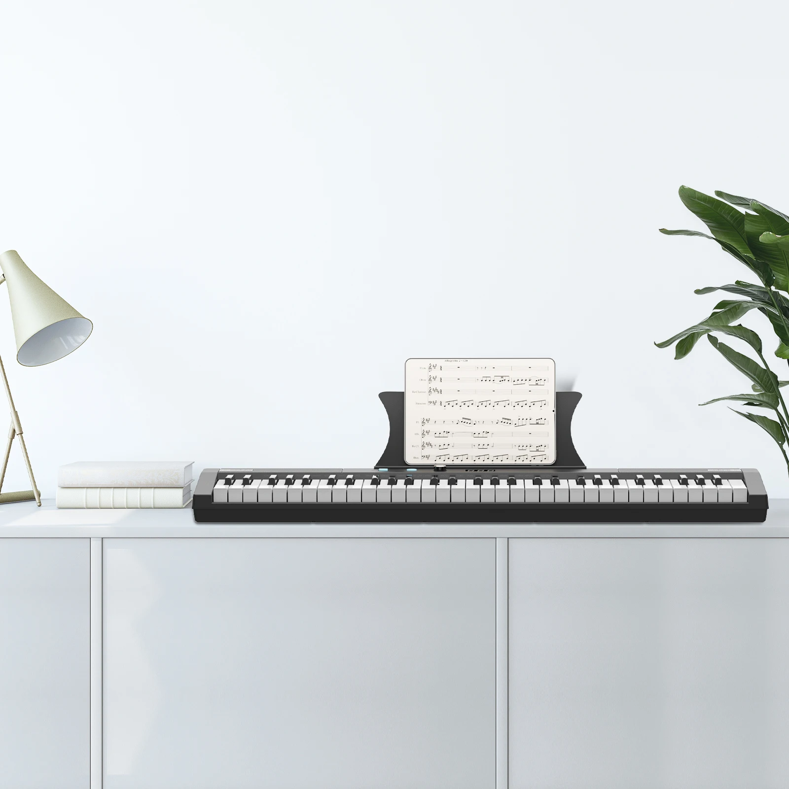 Portable Music Keyboard