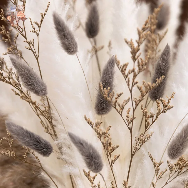40pcs Natural Fluffy Dried Flower Pampas Grass Bouquet