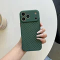 DarkGreen